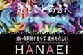Adorn HANAEI